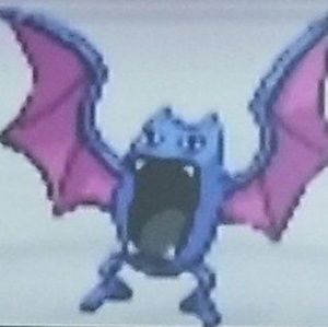 Meet your Posher, Mallory